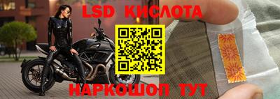 a pvp Аргун