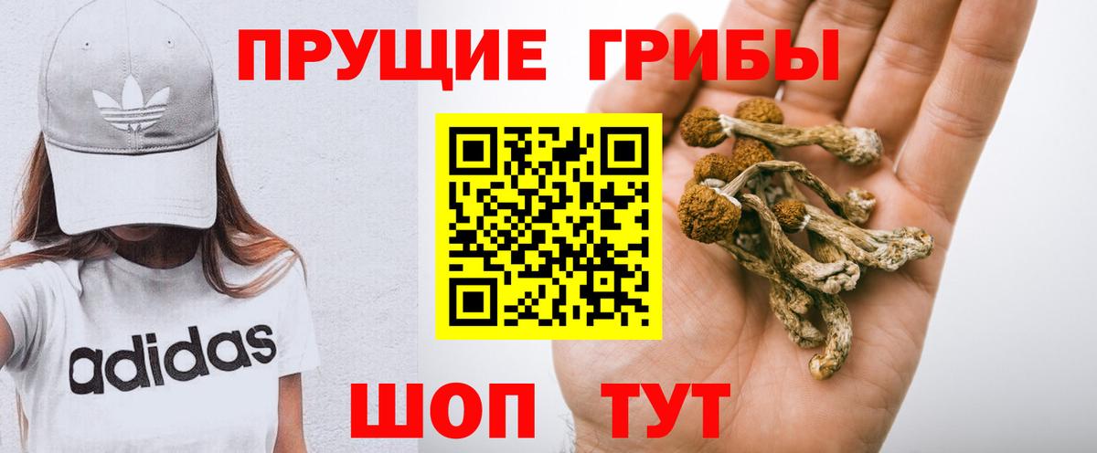 Псилоцибиновые грибы прущие грибы  Вход с VPN  Галлюциногенные грибы мицелий  Ачхой-Мартан 