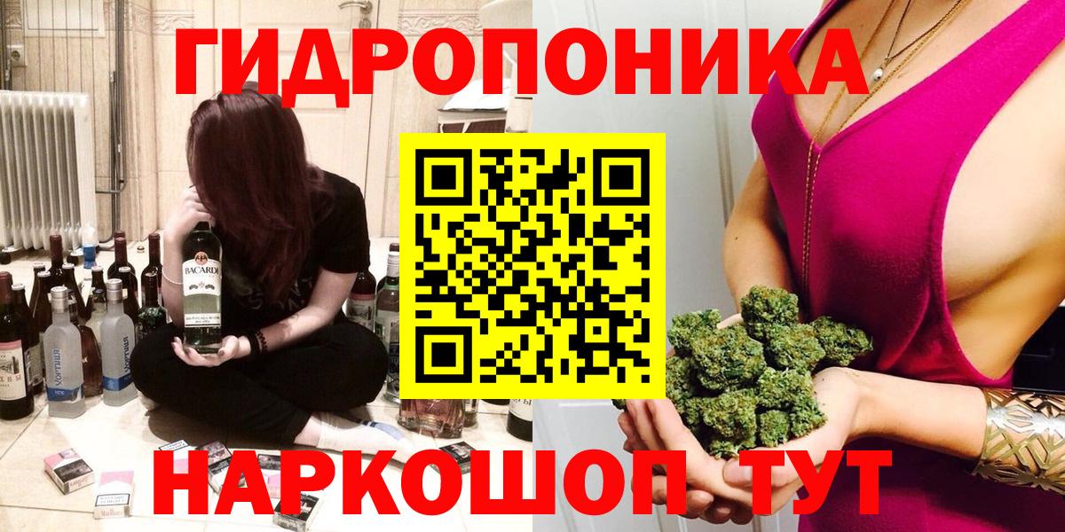 Каннабис план Ачхой-Мартан